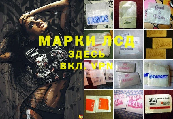 СК Абаза