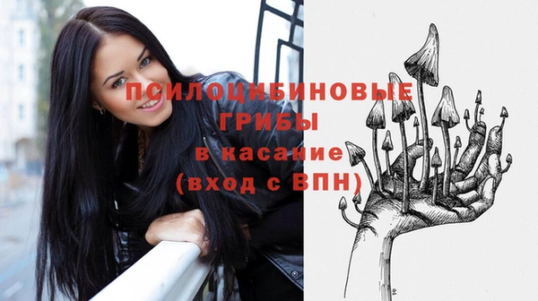 сатива Абинск