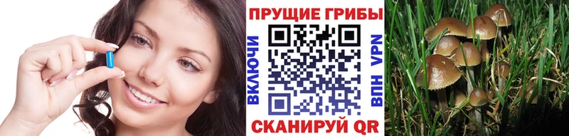 Галлюциногенные грибы Cubensis Таганрог