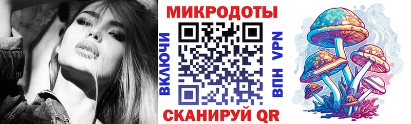 Псилоцибиновые грибы Psilocybe  Таганрог 